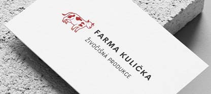 Jak má vypadat správné logo na web